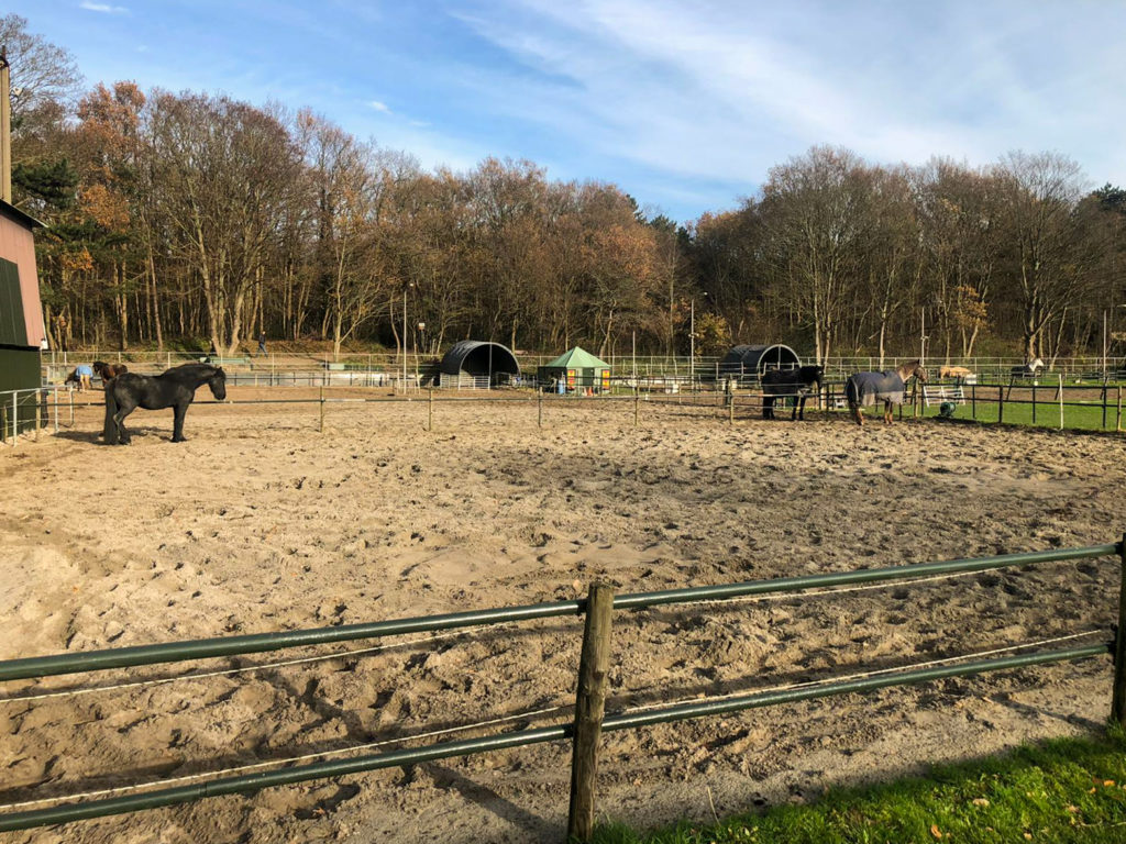 Gerenoveerde Paddock