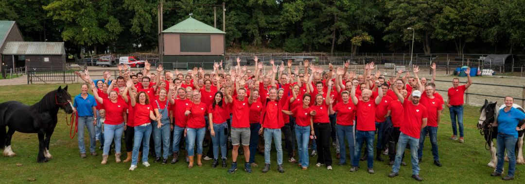 Puntenburg & Heembouw